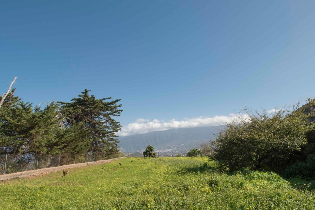 CASAS EN FINCA ECOLÓGICA EL BICLEN, NATURALEZA, CALMA Y VISTAS al MAR, Icod el Alto Exterior foto