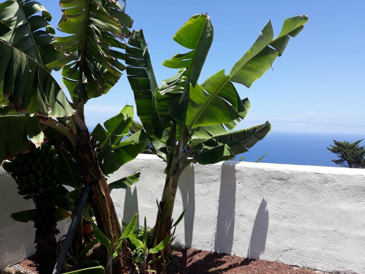 CASAS EN FINCA ECOLÓGICA EL BICLEN, NATURALEZA, CALMA Y VISTAS al MAR, Icod el Alto Exterior foto